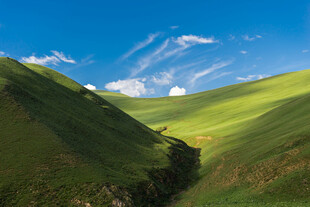 青山绿野间的悠然景致