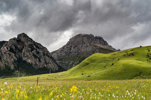 山间绿野繁花 壮美风光