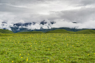 草原绿野间的壮丽云景