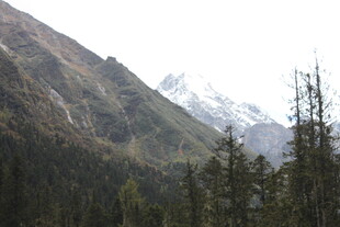 山林间的巍峨雪山景色