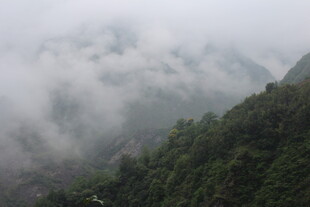 云雾缭绕的翠绿山峦