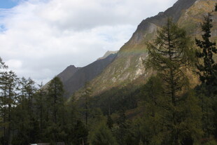 山间葱郁林木与巍峨山峰