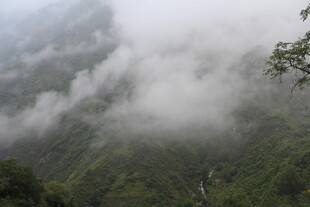 山间云雾缭绕的翠绿景致