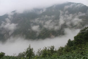 云雾缭绕的山峦美景