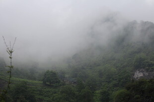 山间云雾缭绕的自然景致