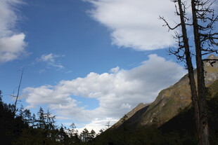 山间蓝天枯树风景图