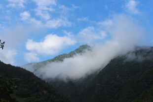 云雾缭绕的青山美景