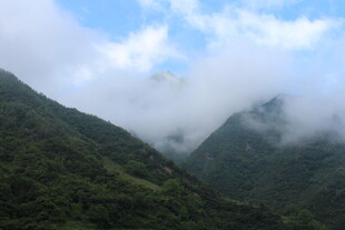 云雾缭绕的翠绿山峦