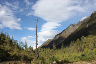 山间美景 蓝天白云绿树