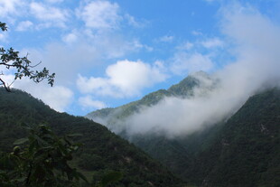 云雾缭绕的山间美景