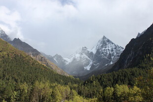 壮丽山林间的巍峨雪山