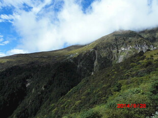 青山云雾间的秀丽景致