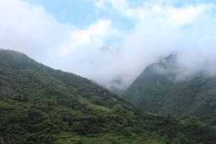 云雾缭绕的翠绿山峦