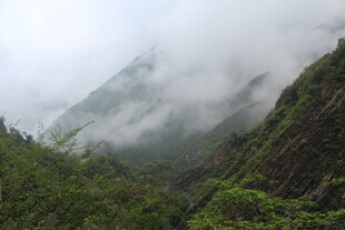 云雾缭绕的山间美景
