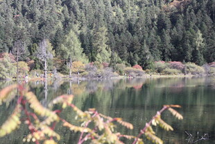 湖畔秋景 山林倒映