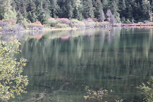 宁静湖畔的自然美景