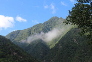 山间云雾缭绕的秀丽景致