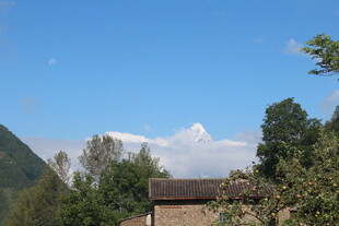乡村蓝天绿树景致
