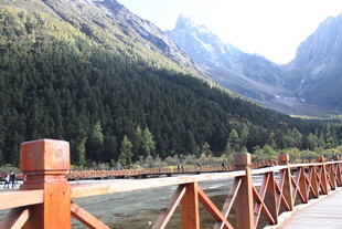 山间木桥旁的秀丽山水景