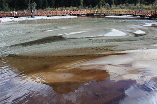 清澈水域中的多彩水底景观