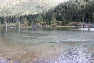 宁静山林间的清澈湖水