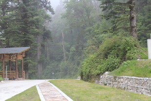 山林间的静谧小道与亭阁