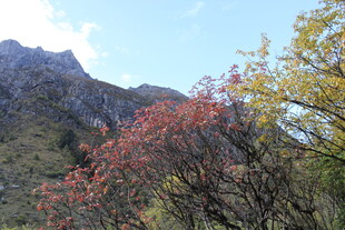 秋日山间绚烂多彩景致