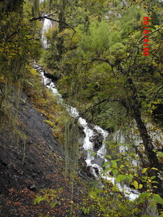 山间瀑布穿林而过