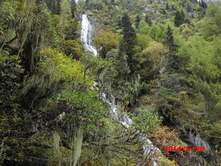 山林间的灵动瀑布景观