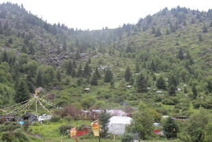 山间村落隐于葱郁山林间