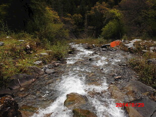 山间溪流潺潺 绿意盎然