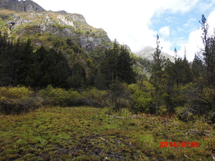 山间绿野 自然景致