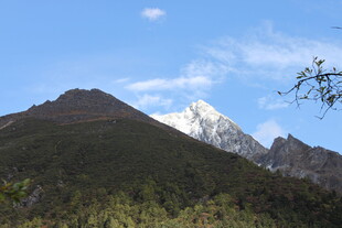 巍峨雪山与葱郁山峦