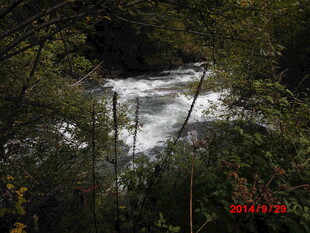 山间湍急溪流 绿意环绕