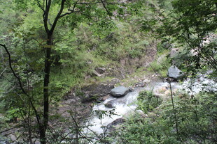 山林间的潺潺溪流