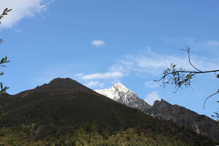 雪山远景 山林相伴