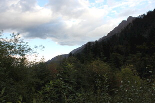 山间云景 绿意盎然