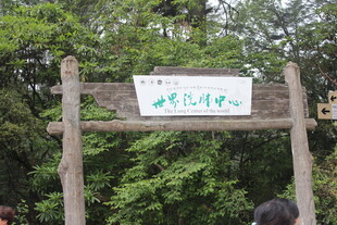 景区木质指示牌