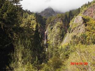 山间瀑布与葱郁森林景观