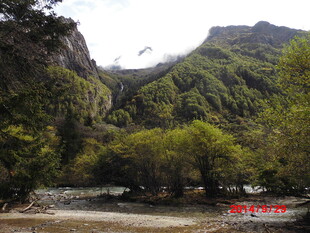 山间溪流旁的葱郁景致