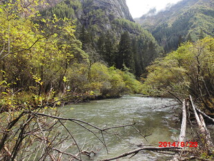 山间溪流旁的木质栈桥