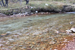 清澈溪流中的美丽石头