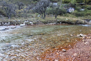 山间清澈溪流景色