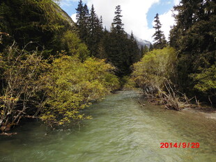 山间清澈溪流风景