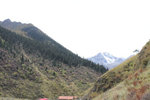 山间景色 远处雪峰隐约可见
