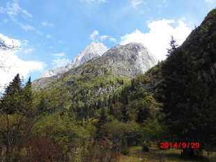 山间美景 巍峨雪山与葱郁林