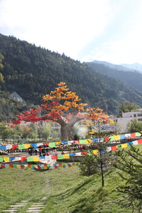 山间多彩经幡装点美景