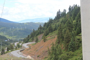 山间蜿蜒公路与葱郁山林