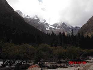 雪山下的森林河谷景观