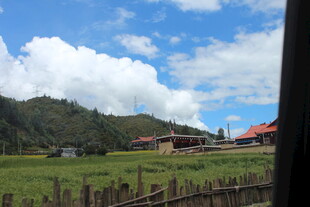 乡村田园风光 宁静美好